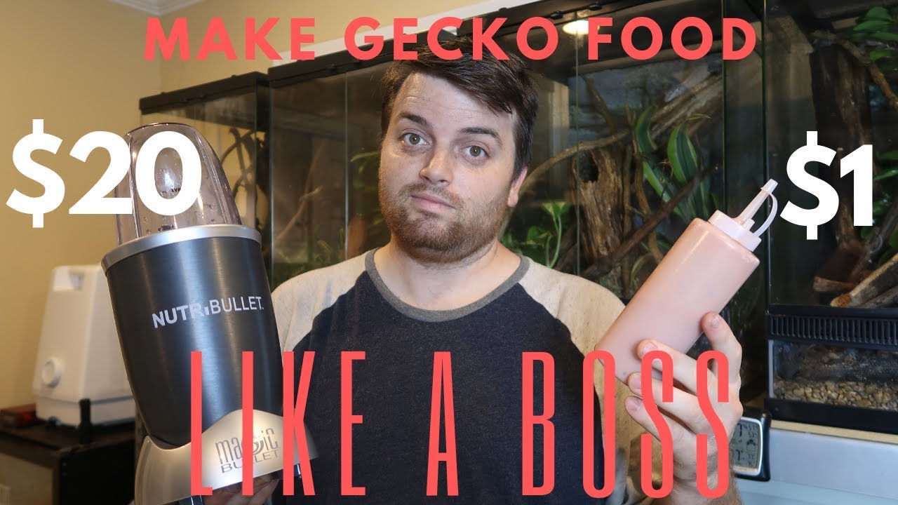 Save Time Mixing Your Gecko Food!  CHEAP!