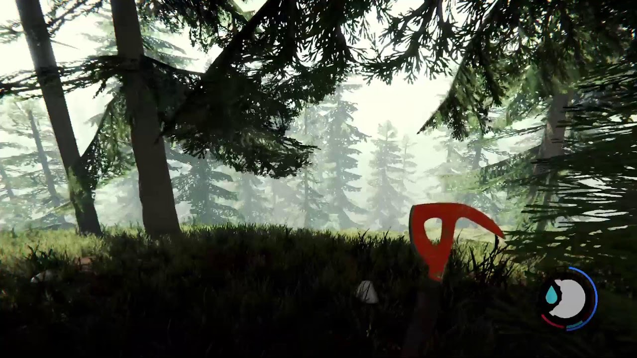 The Forest