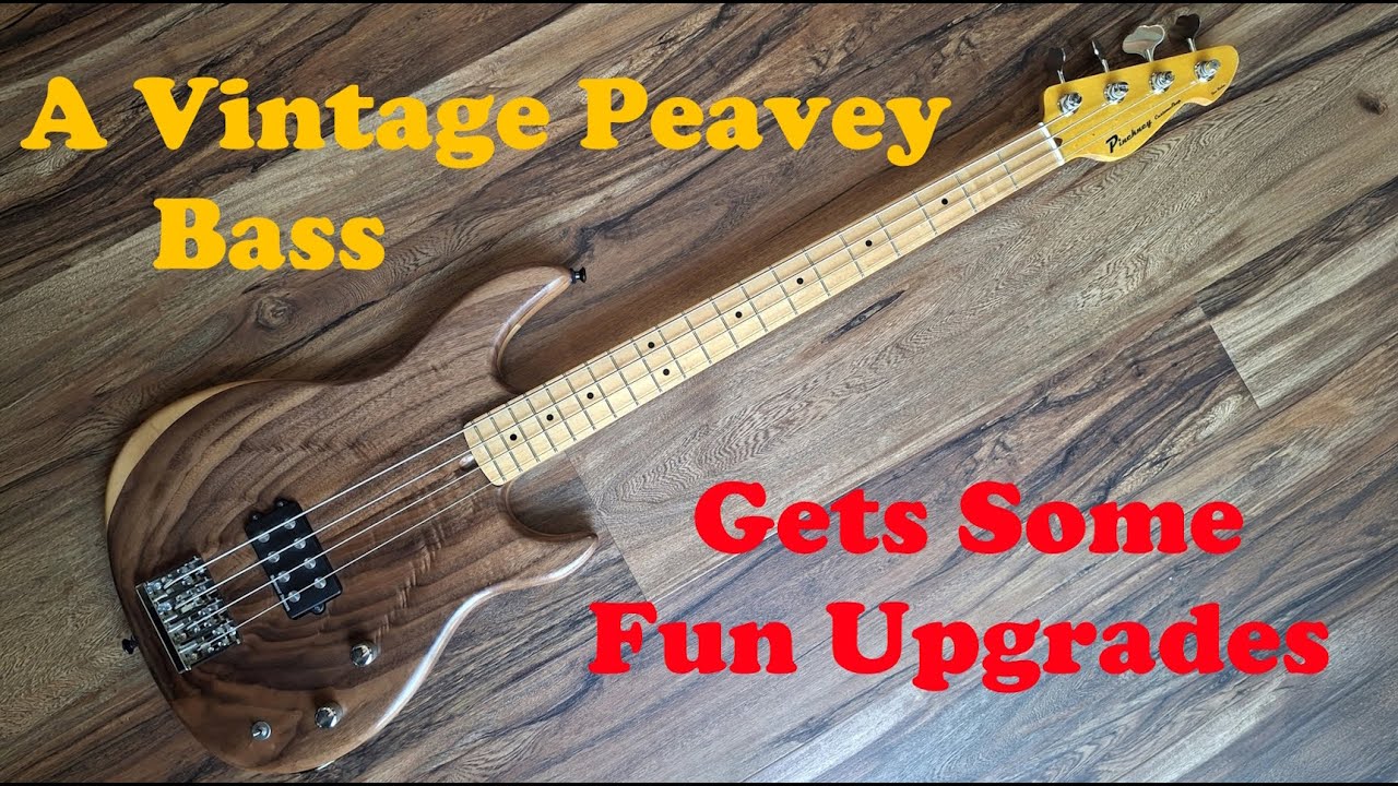 Customized Vintage Peavey Bass