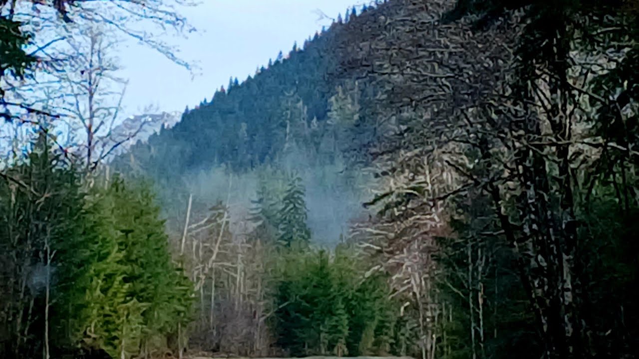 Church Creek Trail, frozen view of Lake Satsop