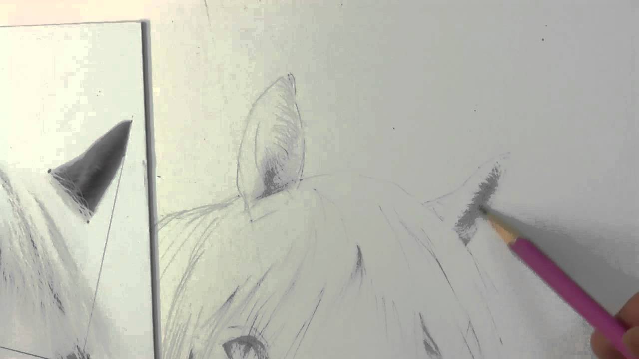 Establishing Dark Values (While Drawing Horse Hair)!