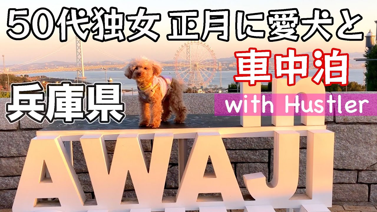 【車中泊】お正月に愛犬と淡路ハイウェイオアシスで日の出鑑賞