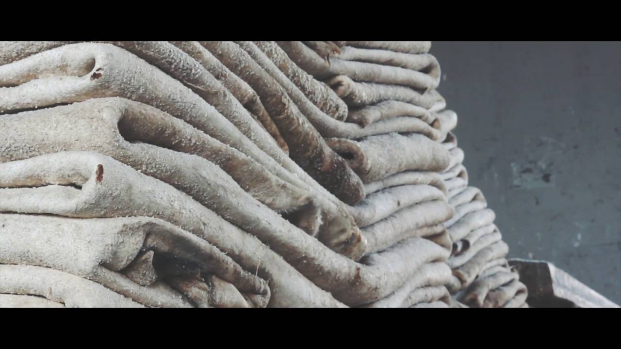 Introduction to Bradford Hide Company