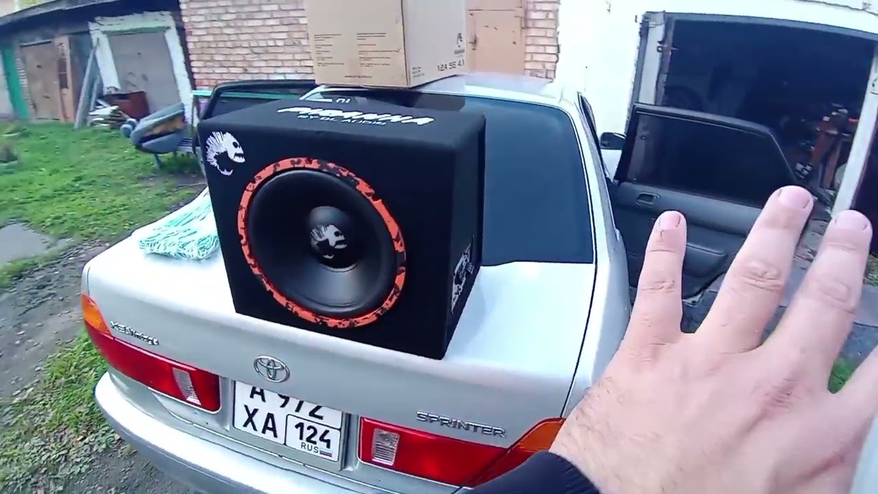 Новинка от DL-AUDIO Активный сабвуфер Piranha 12A SE 4.1