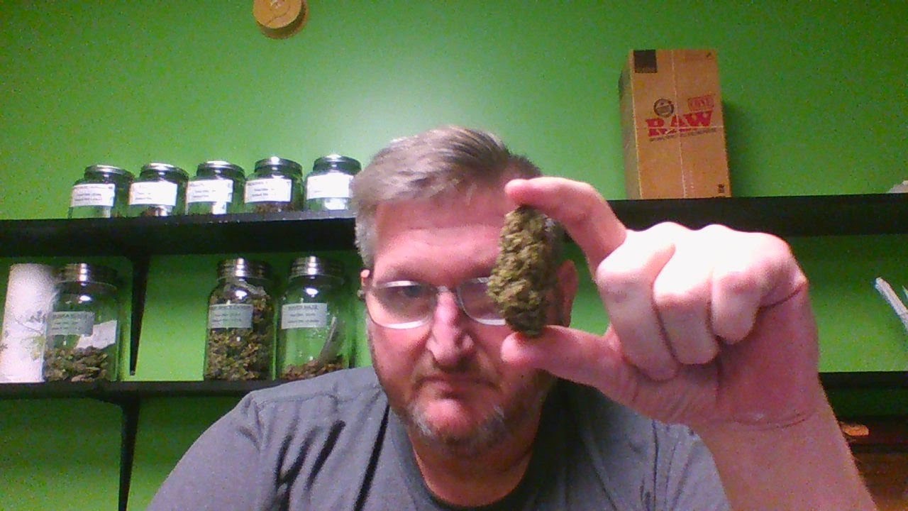 Hawaiian Haze High CBD Hemp Flower Review