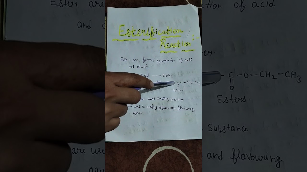 esterification reaction class 10 experiment | esterification reaction class 10 explanation
