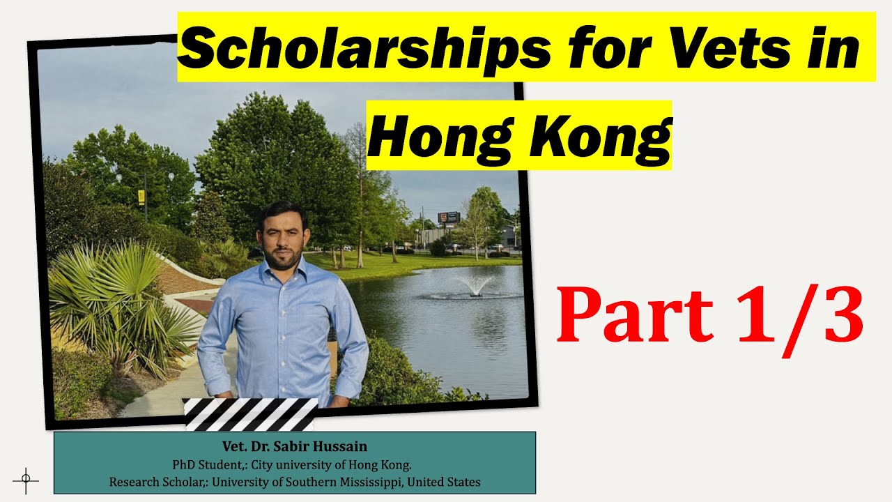 Scholarships for DVM grads in Hong Kong