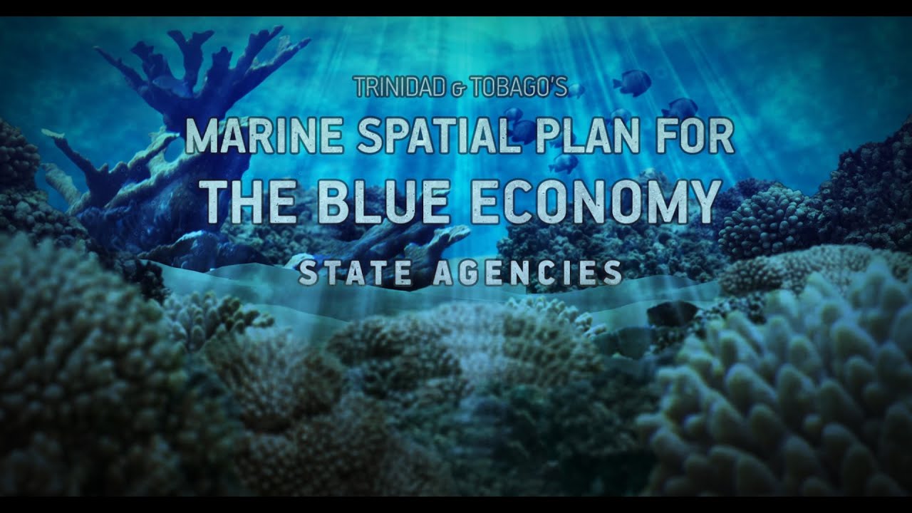 Trinidad and Tobago's Marine Spatial Plan for the Blue Economy - State agencies