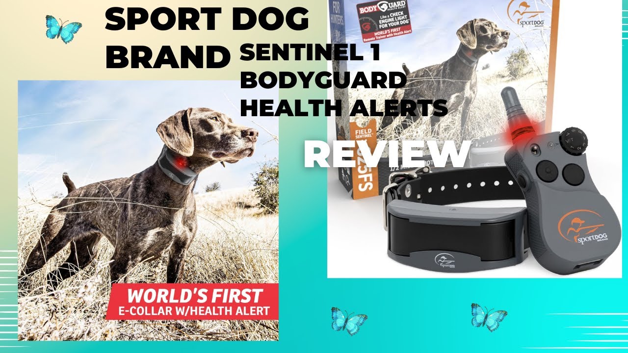 Sport dog brand sentinel 1 bodyguard health alerts review