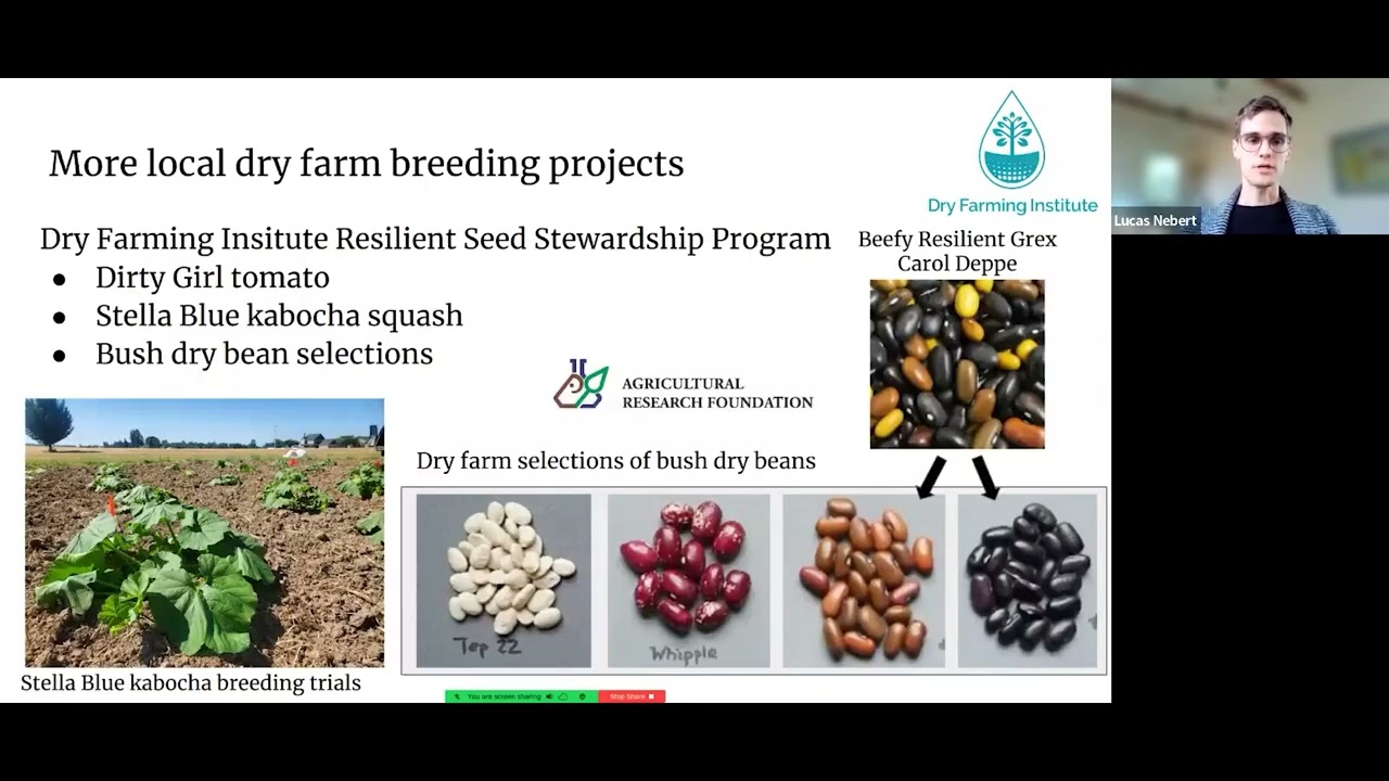 Adapting Plants for Dry Farming, Lucas Nebert