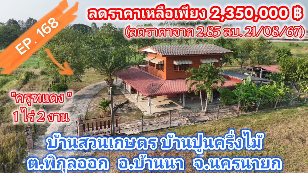 EP.168 บ้านสวน บ้านปูนครึ่งไม้(ไม้เบญจพรรณ) สุดคุ้ม 1ไร่ 2งาน เพียง 2,350,000 บาท ต.พิกุลออก นครนายก
