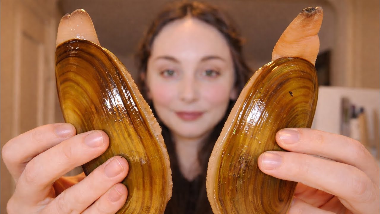 Razor Clamming on the Washington Coast