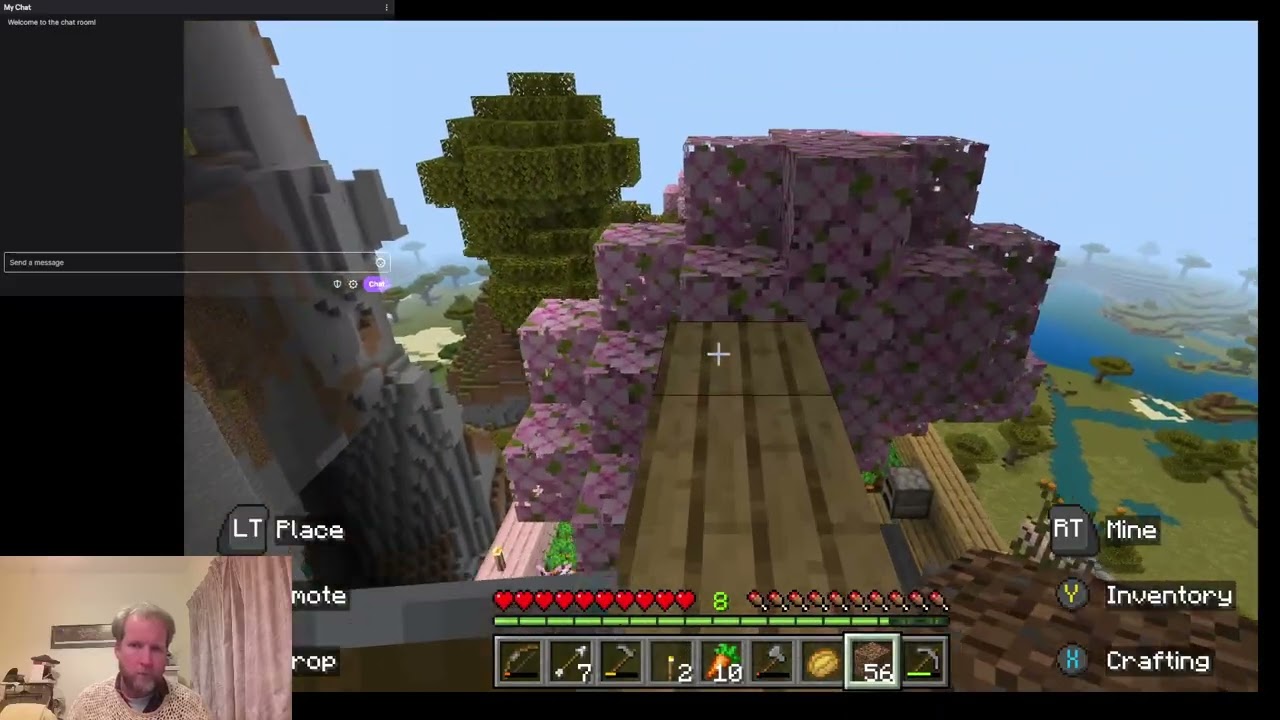 Minecraft Mountain survival day 12
