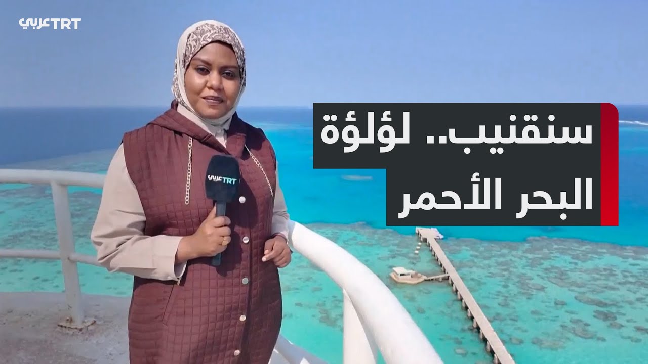 جزيرة سنقنيب.. تراث عالمي في البحر الأحمر يزيّن سواحل بورتسودان شمال شرق السودان