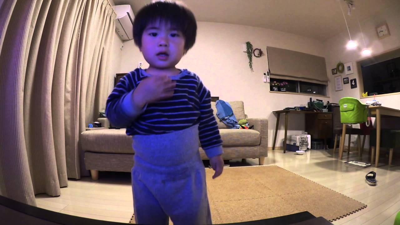 自撮りをたのしむ　Canon ivisminiX