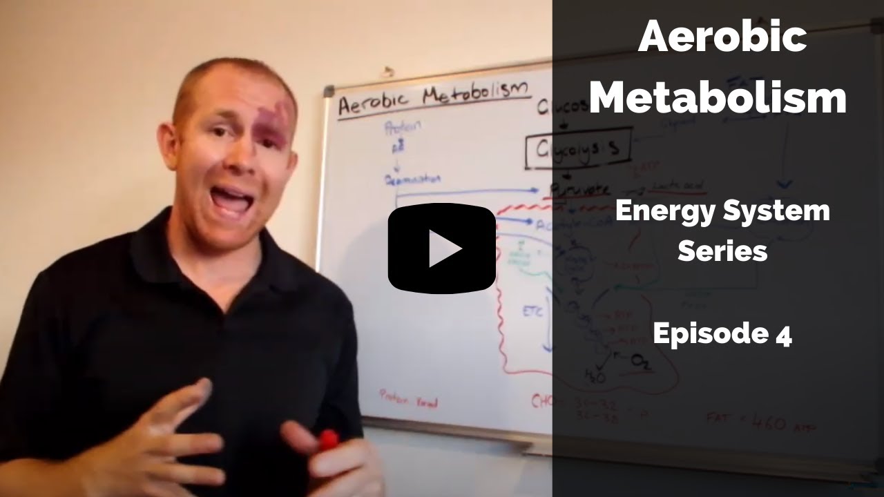 Aerobic metabolism explained
