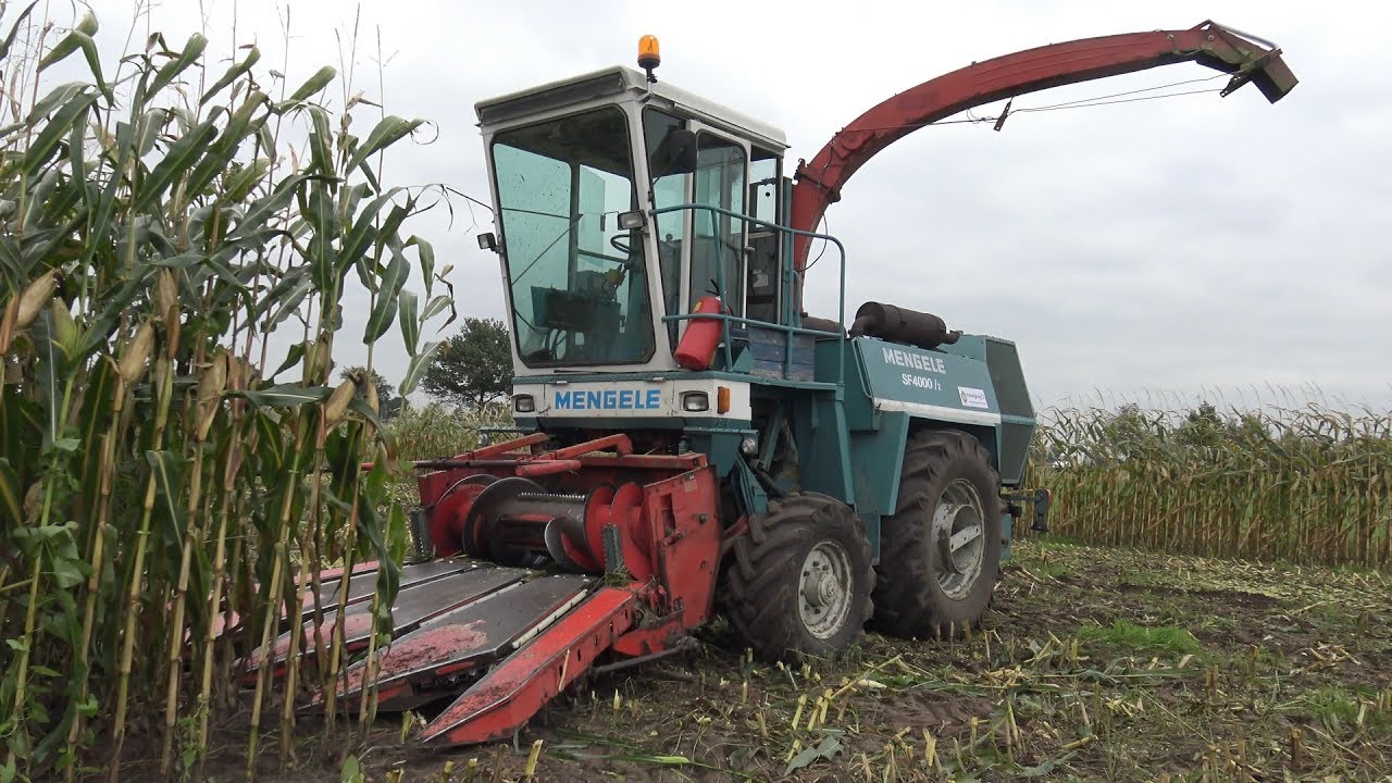 Mais hakselen met Mengele SF4000/2 + Deutz D7506, Fendt Farmer 308 en IHC 844-s (2017)