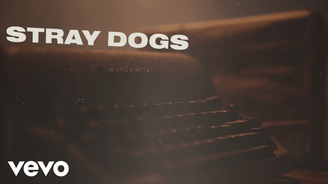 Justin Moore - Stray Dogs