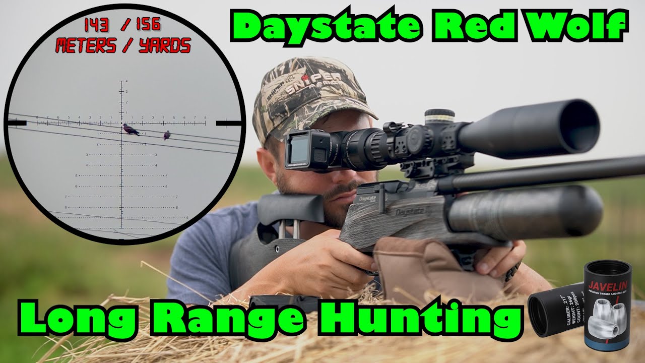 Daystate Red Wolf Safari: король дальних дистанций | Борьба с вредителями с помощью пневматическо...