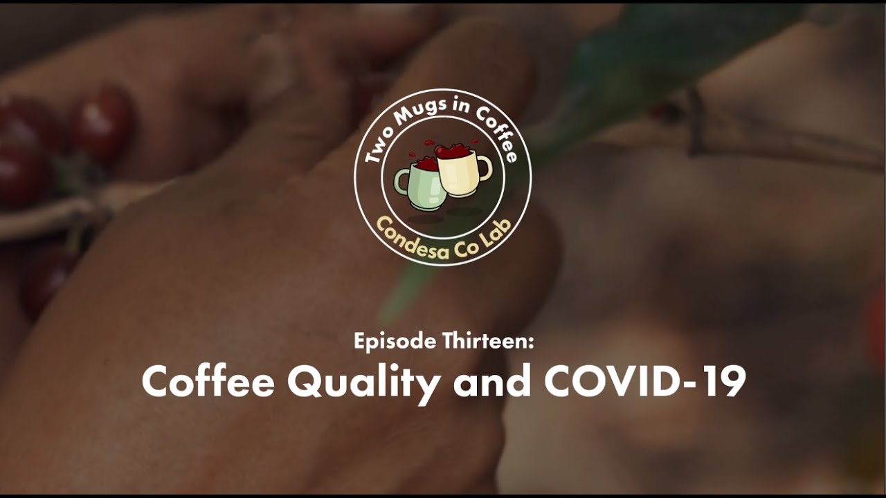 Two Mugs In Coffee – Episode Thirteen: Coffee Quality and COVID-19