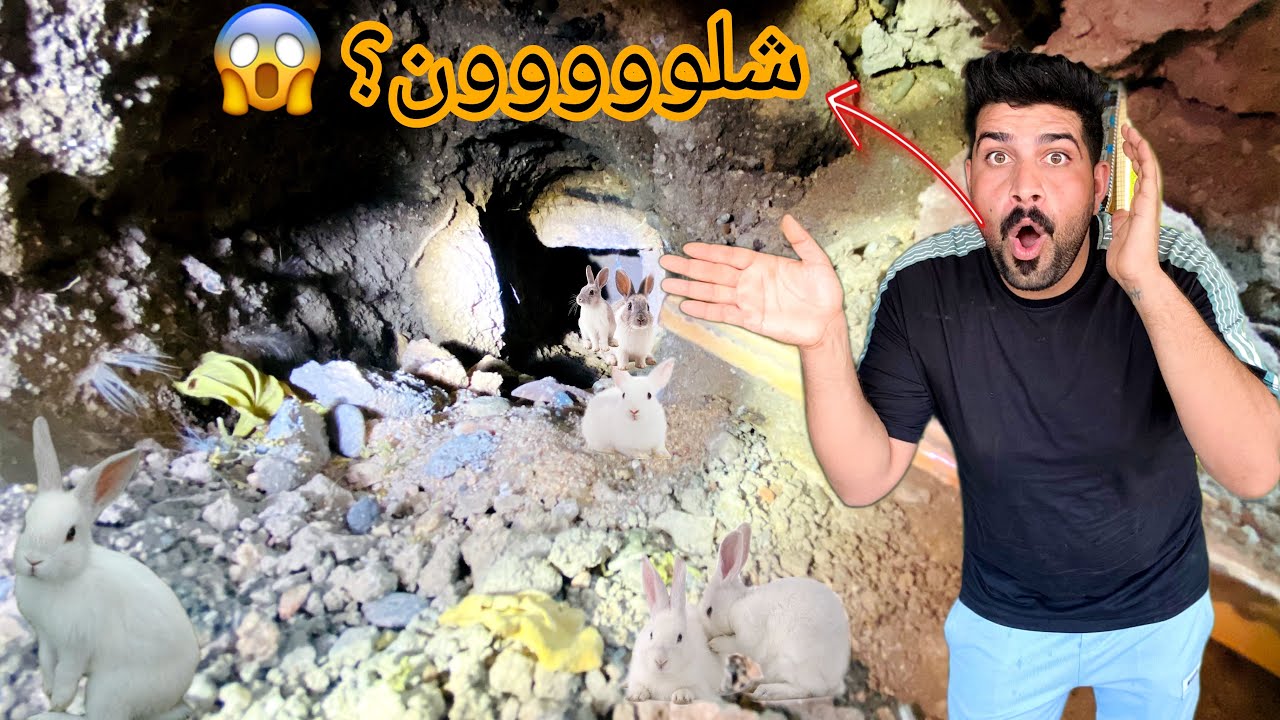 تجهيز حاضنات الكتاكيت🐥شوفو ألارانب شنو سوو😱