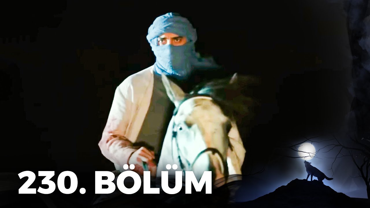 Kurtlar Vadisi Pusu - 230. Bölüm FULL HD