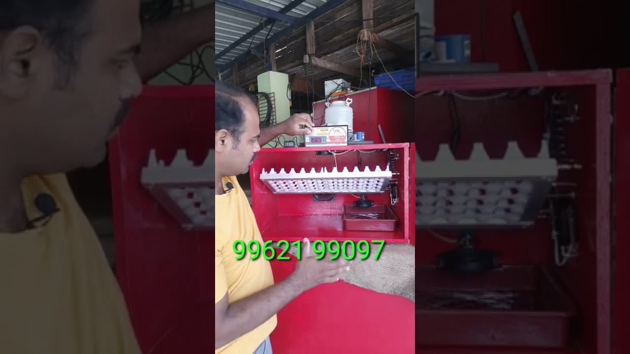 best 60eggs automatic incubator NAMAKKAL #automaticincubator #chicken #koli