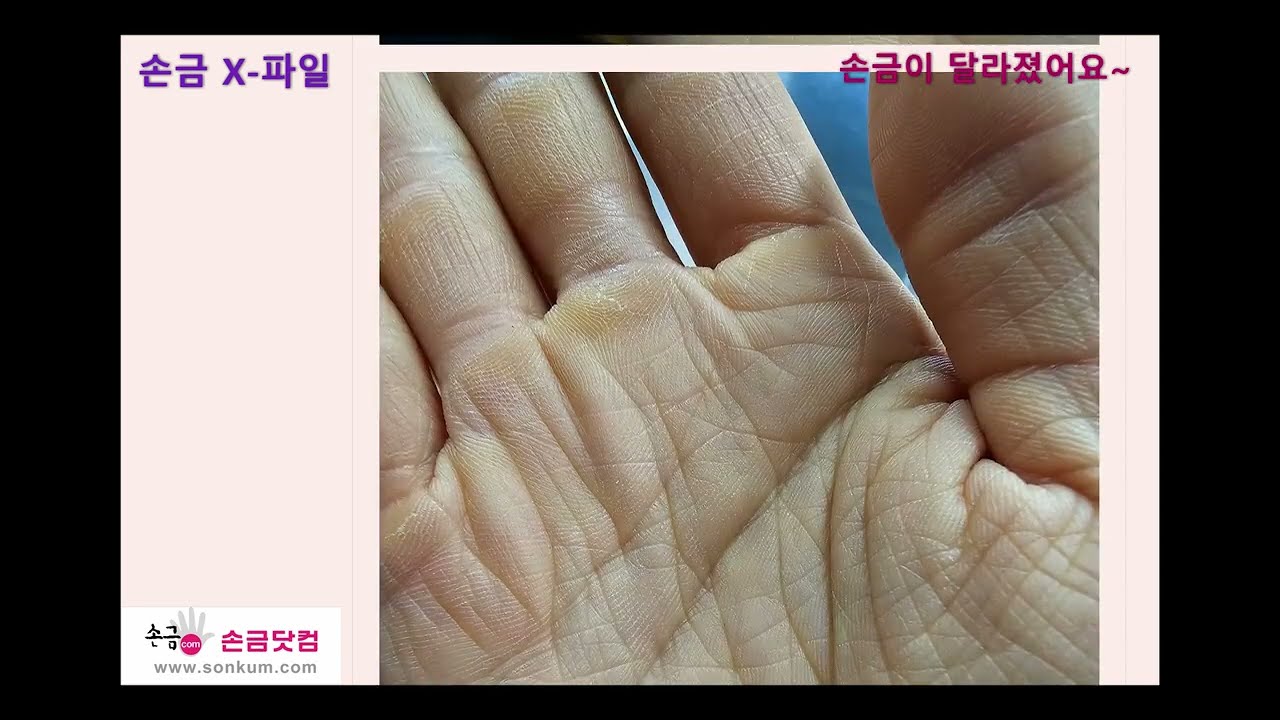[손금 X-파일] 손금이 달라졌어요~(재산선, 사업선, 운명선 등)