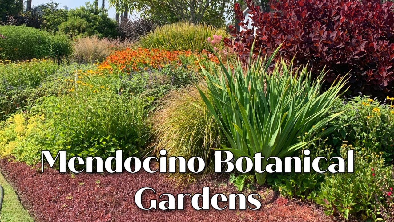 Mendocino Coast Botanical Gardens - Perennial Gardens