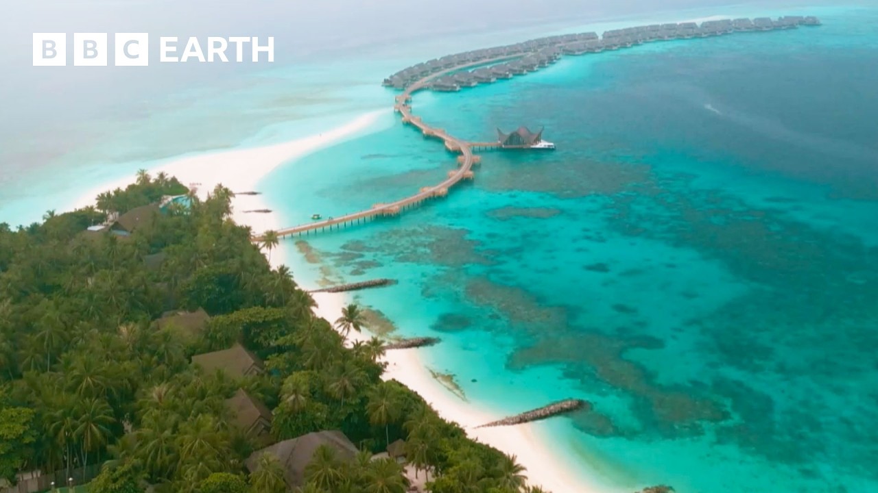 Amazing Hotels: The Italian Alps, Norway & The Maldives | BBC Earth Explore
