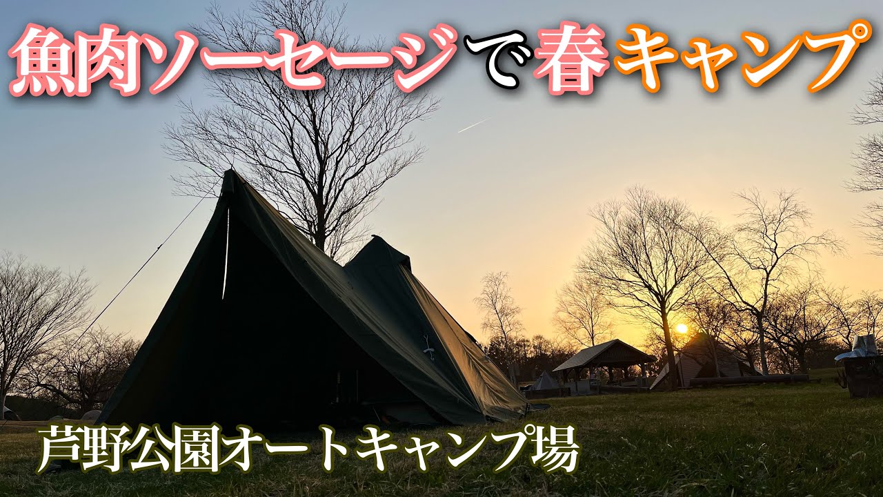 【ソロキャンプ】青森県五所川原市 芦野公園オートキャンプ場で花見キャンプ（実際は蕾キャンプ）