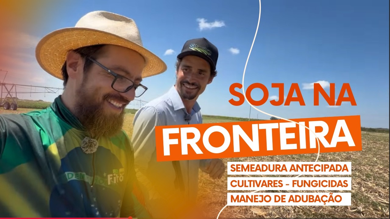 SOJA NA FRONTEIRA - plantio antecipado, ferrugem da soja, adubação e muito mais sobre manejo 