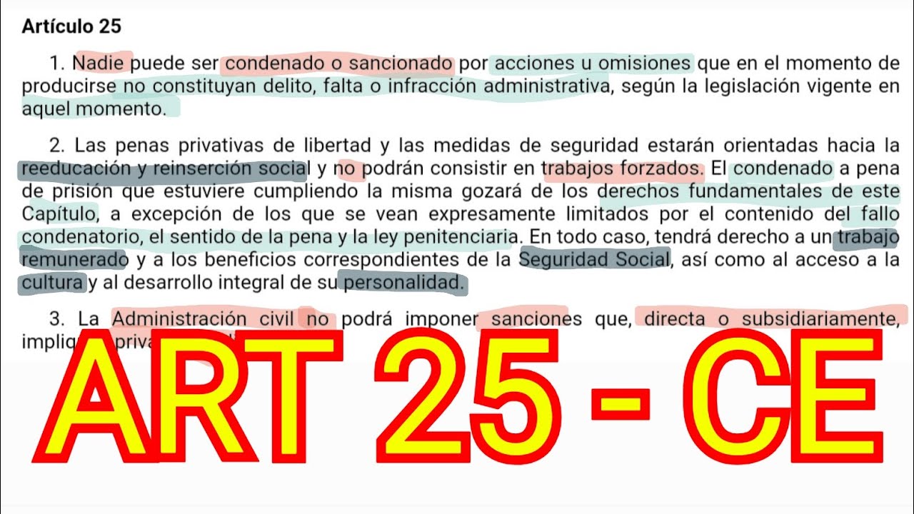 ARTÍCULO 25 - Constitución Española - Penas de Libertad - OPOSICIONES