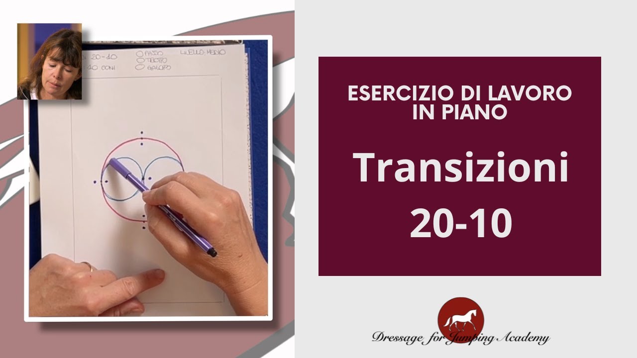 esercizio: transizioni 20-10 #equitazione #dressageforjumping #cavalli