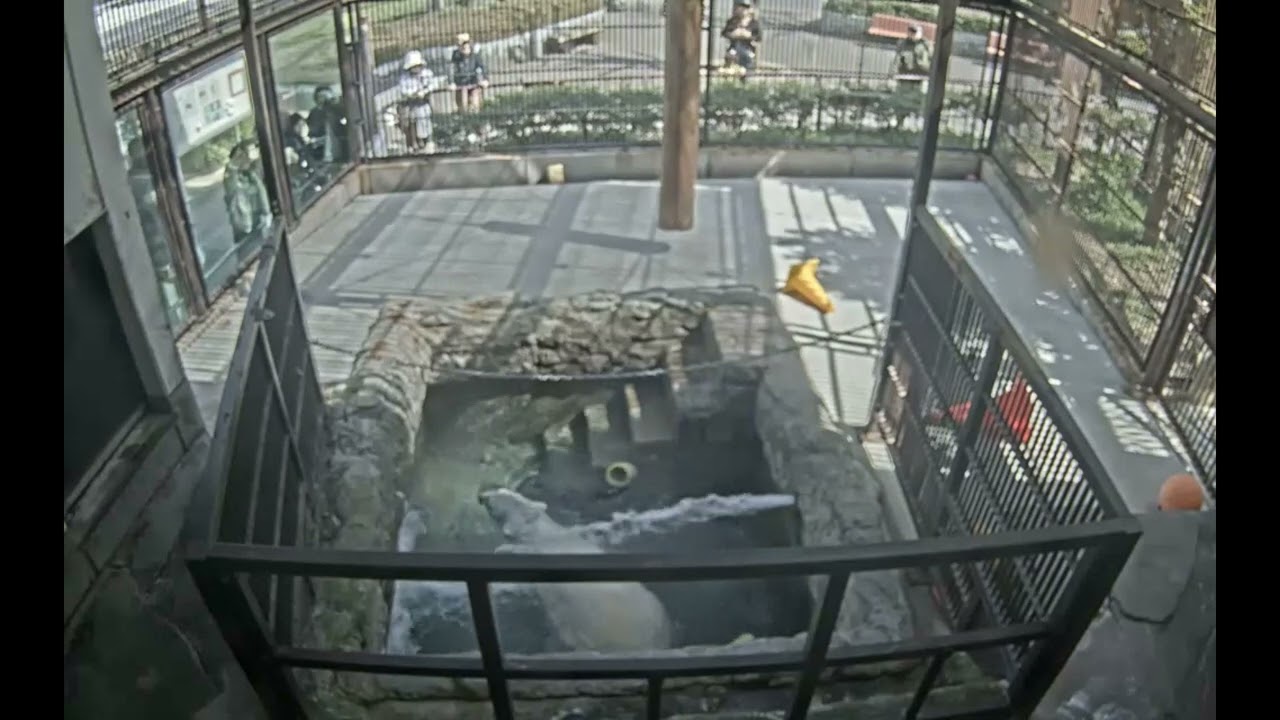 2026年3月17日のピース