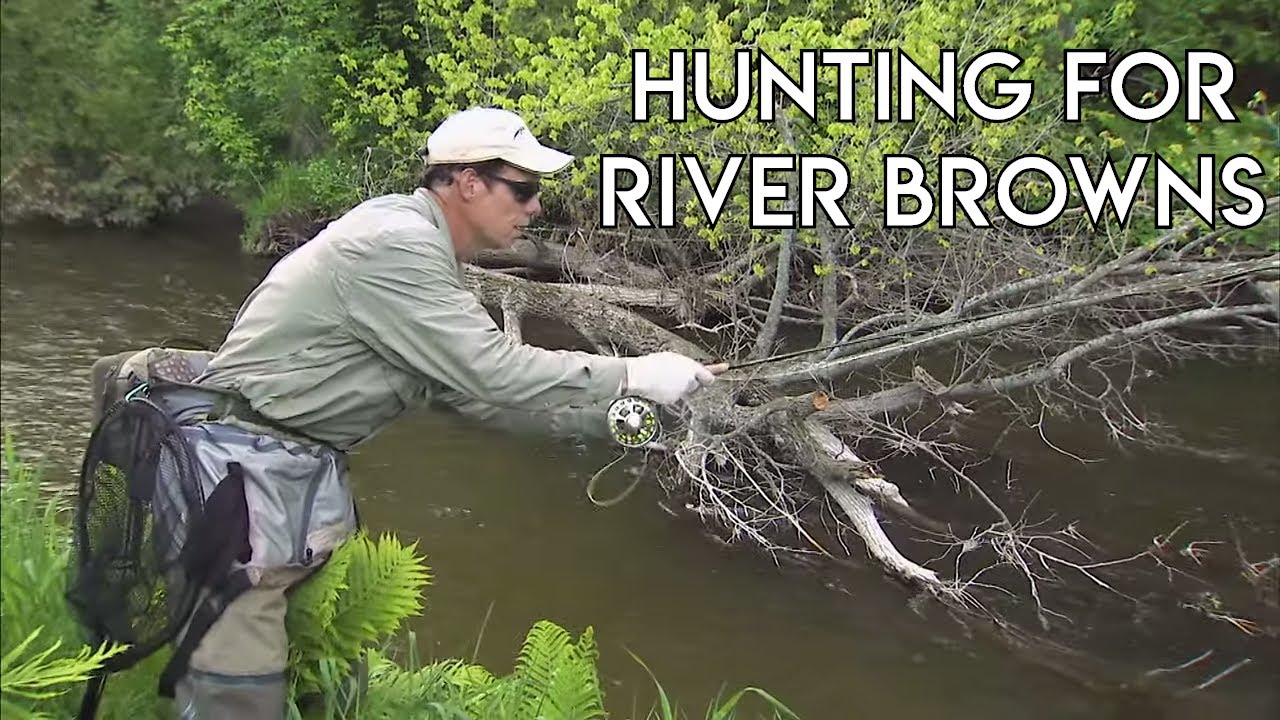 Brown Trout River Hunting