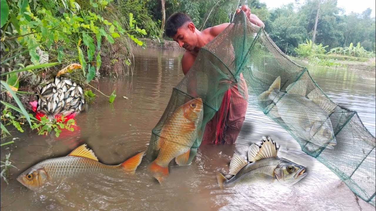 Catching Small Fish in the River with a Traditional Net | Village Fishing