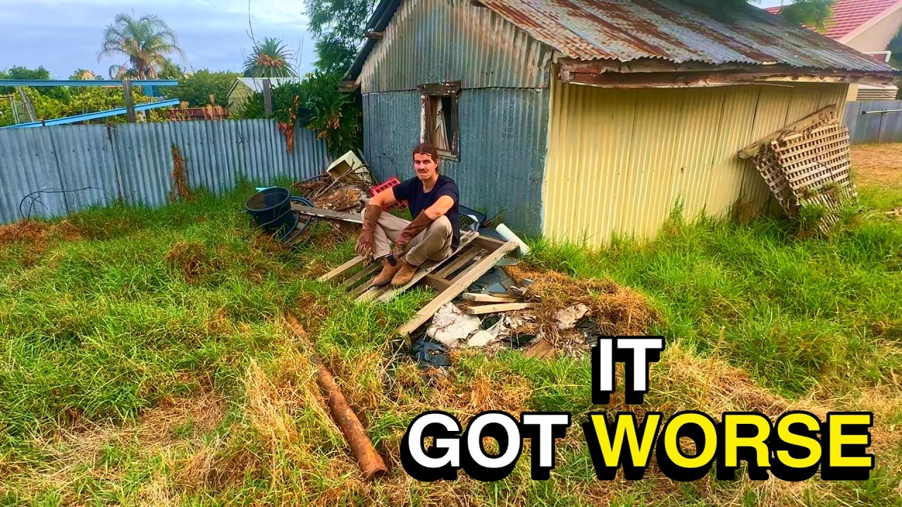 She Desperately Needed Help - But This Free Yard Clean Up Nearly Broke Me