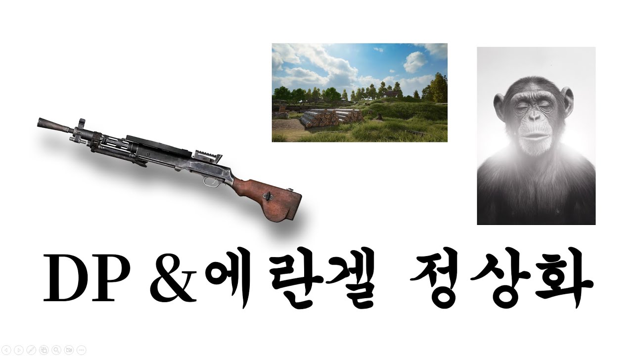 DP-28과 에란겔의 정상화