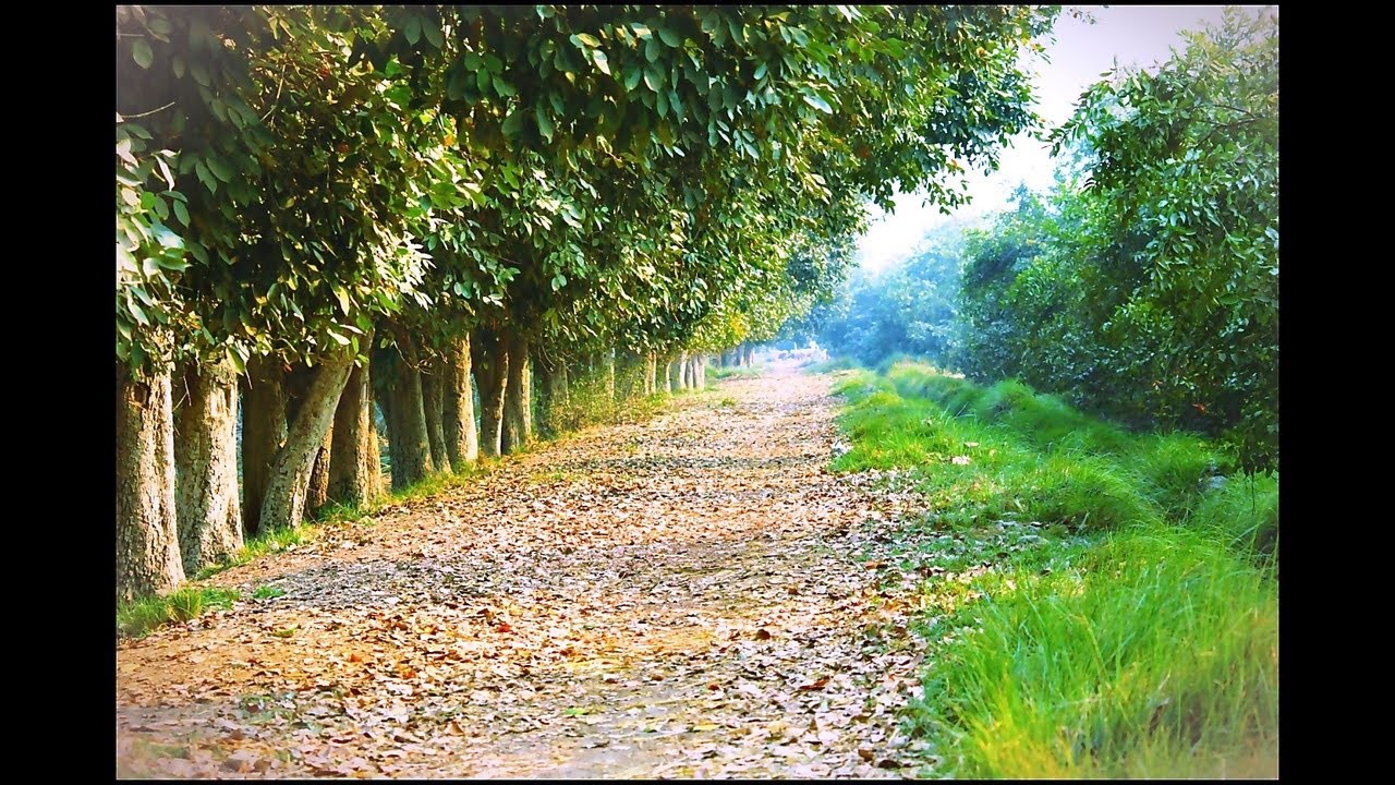 Best Tourist Attractions you MUST SEE in Larkana, Pakistan | 2019