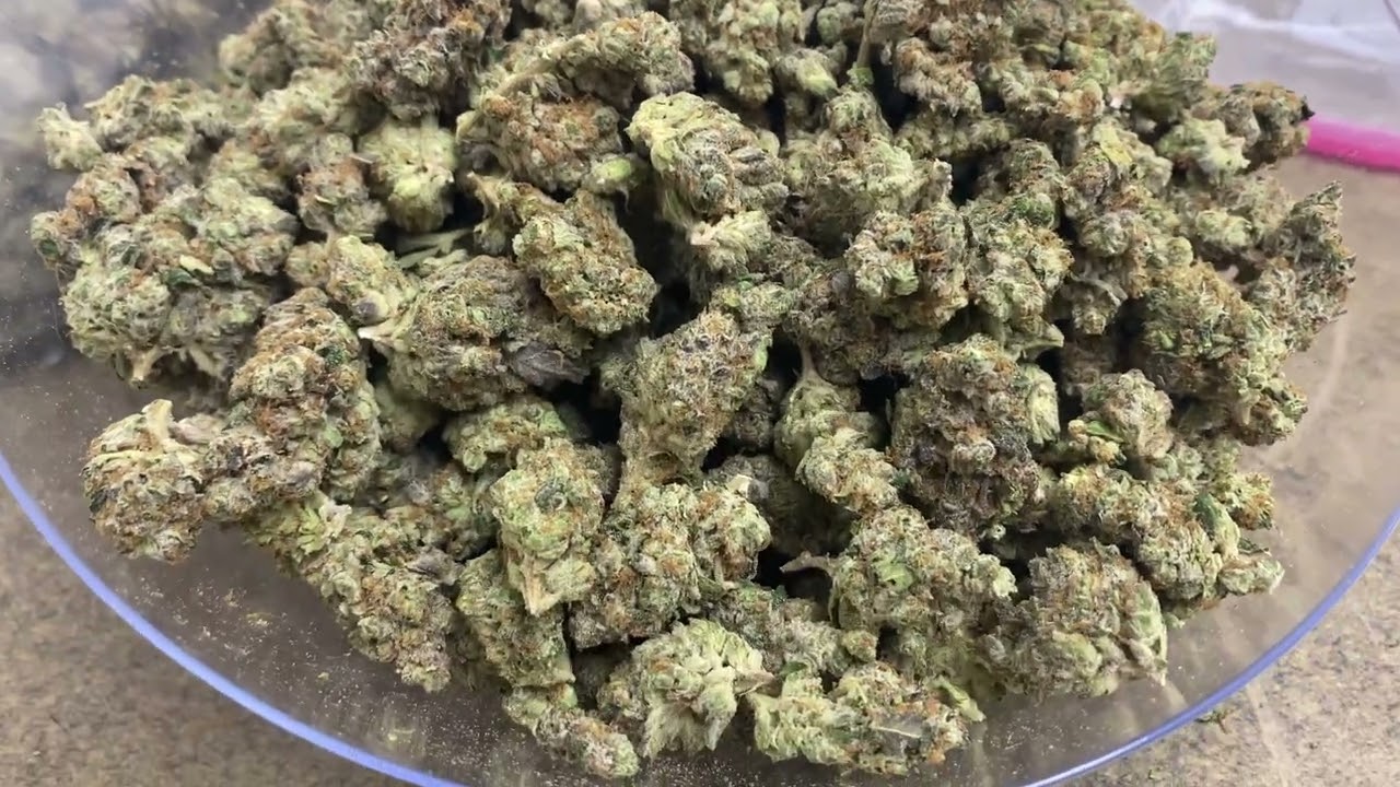 Bulk THCa Flower: Hashburger