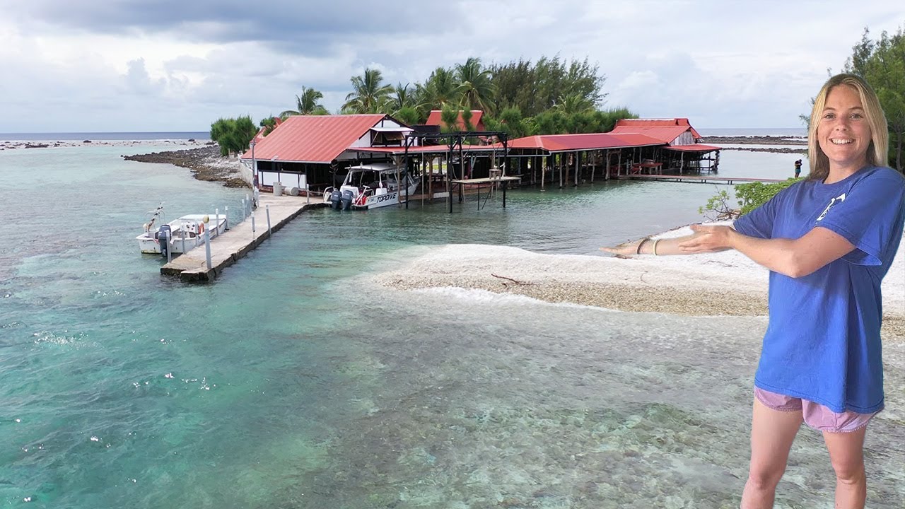 Motu Aito Paradise Fakarava Tour: The Blue Horizon Diving Tour