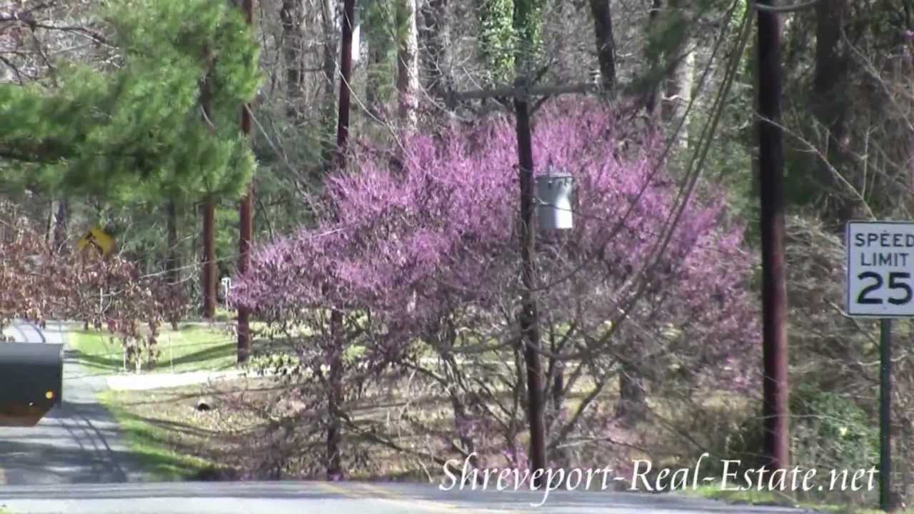 Dogwood Park Subdivision Neighborhood - Haughton, LA
