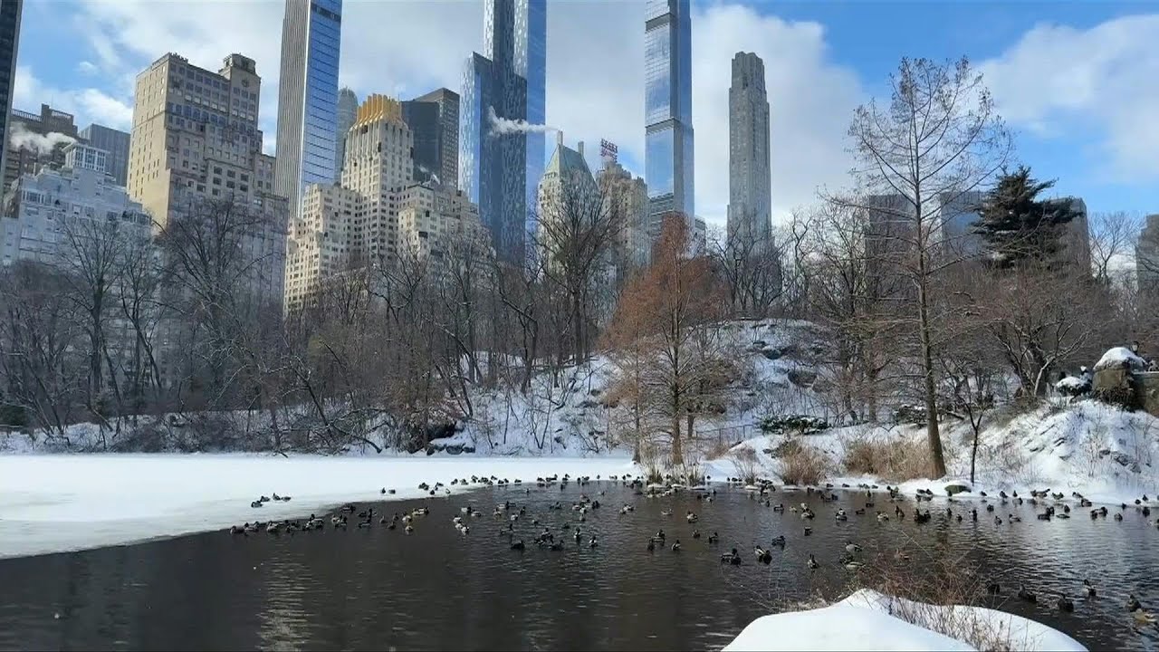 New York sous la neige après la tempête hivernale | AFP Images