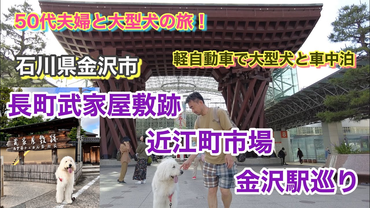 【ペット連れ必見！】金沢観光　近江町市場のペット連れ問題のナゾ