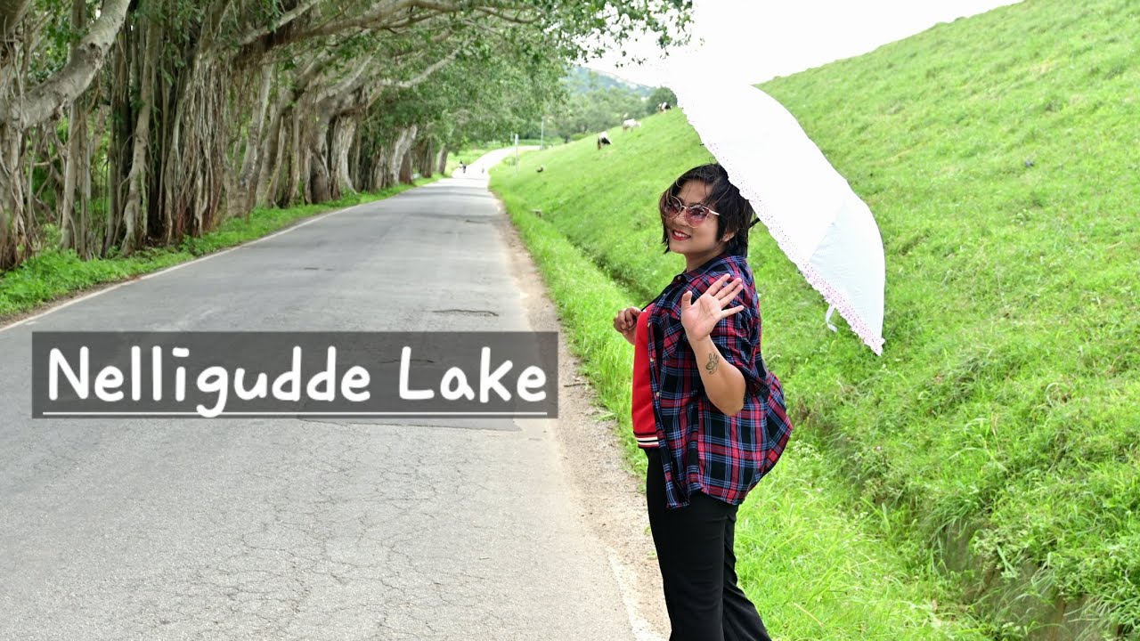 Nelligudde Lake | Place to visit near Bangalore within 50km