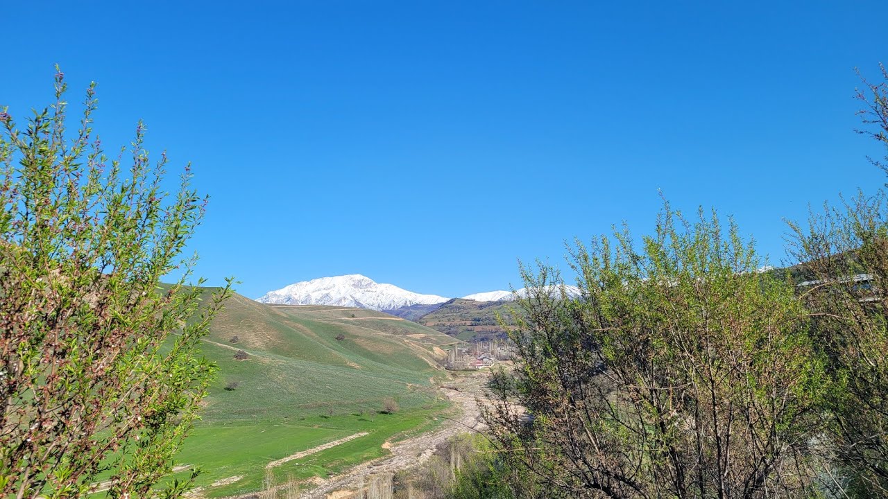 1 апреля 2025 г.  Санаторий Чаткал
