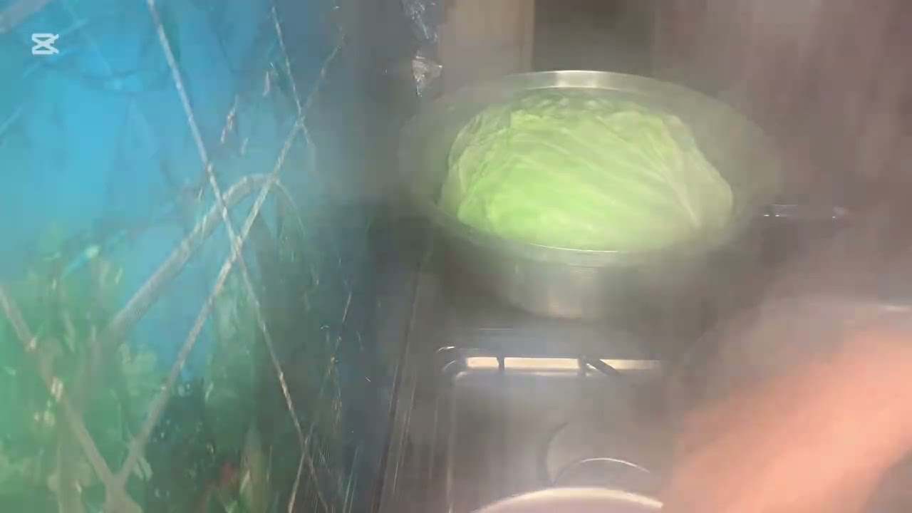 مش كل من عملت محشي ودكربط 🦆بأسهل طريقة 