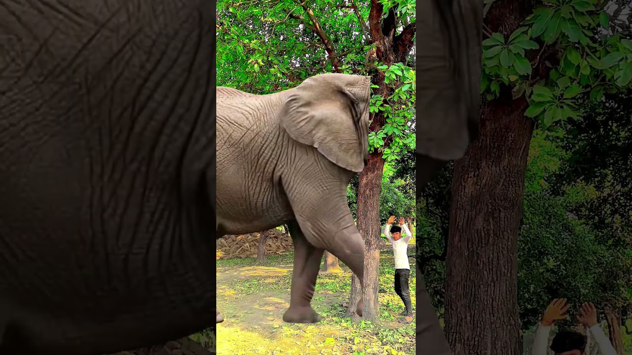 🇮🇳 love you india 🙏 teeri mitti me mila ❤️‍🔥🫶