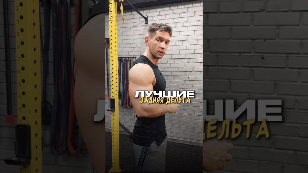 ЛУЧШИЕ УПРАЖНЕНИЯ НА ЗАДНЮЮ ДЕЛЬТУ